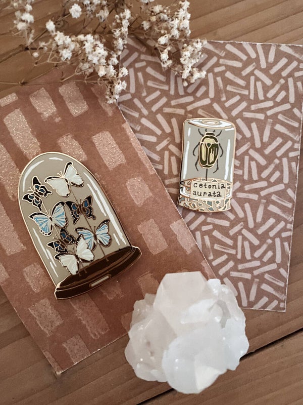 Pin - Vlinder/Insect in Stolp