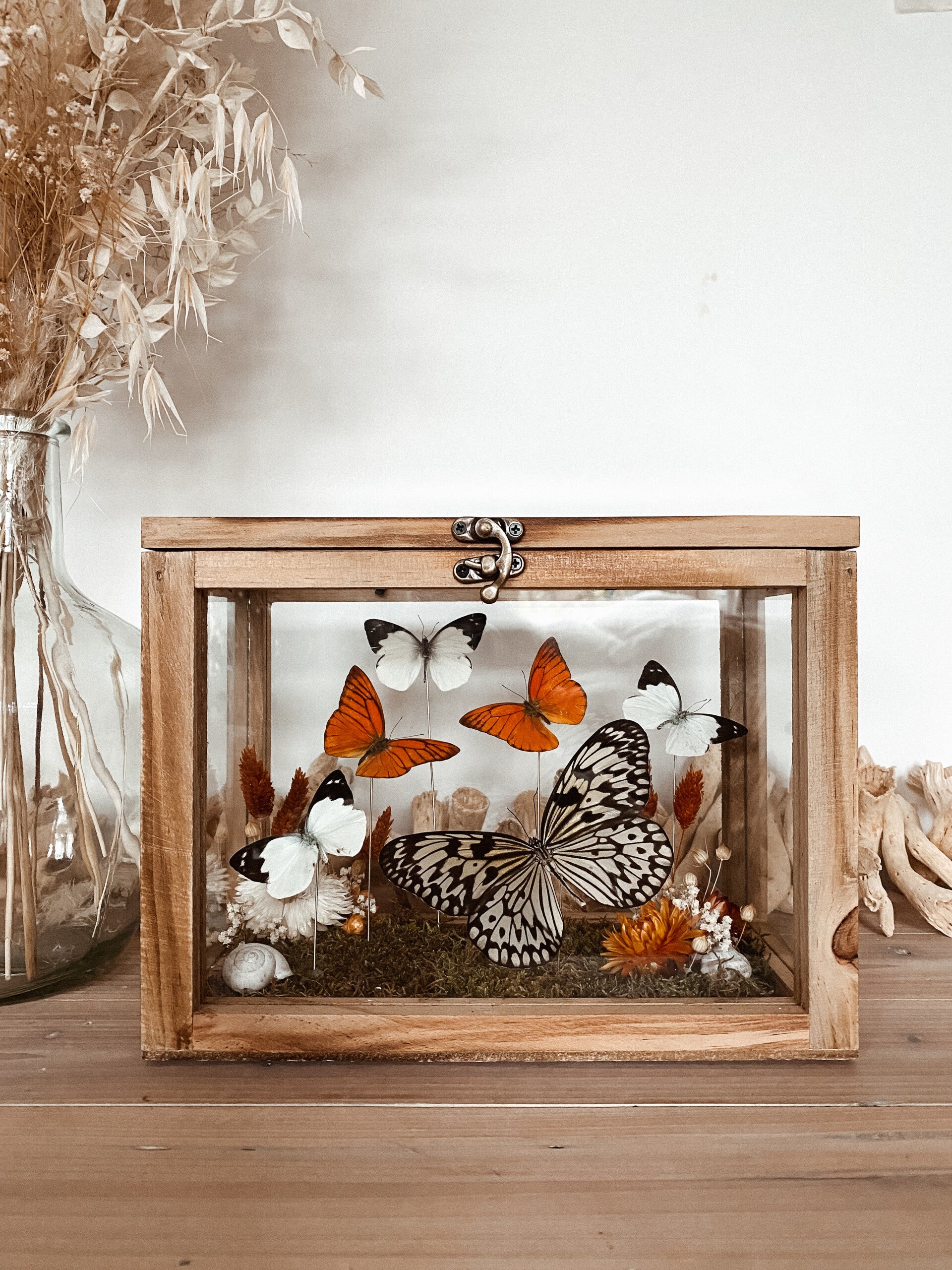 Whimsical Treasure - Glass Box