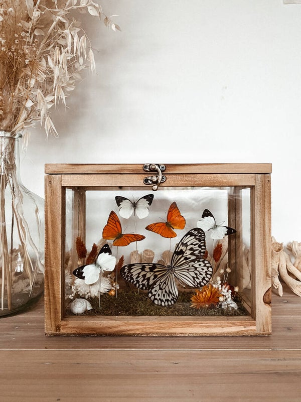 Whimsical Treasure - Glass Box