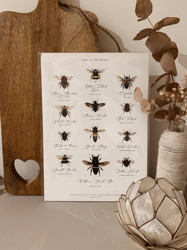 Print - Bees of the World