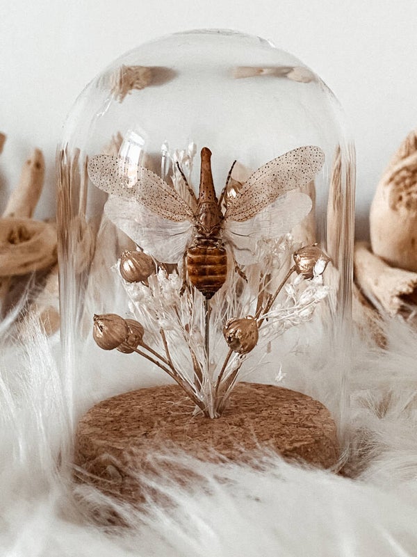 Sweet Luminance - Mini Glass Dome