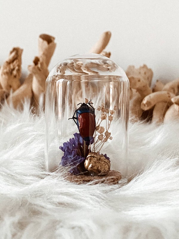 Colourful Muse - Tiny Glass Dome