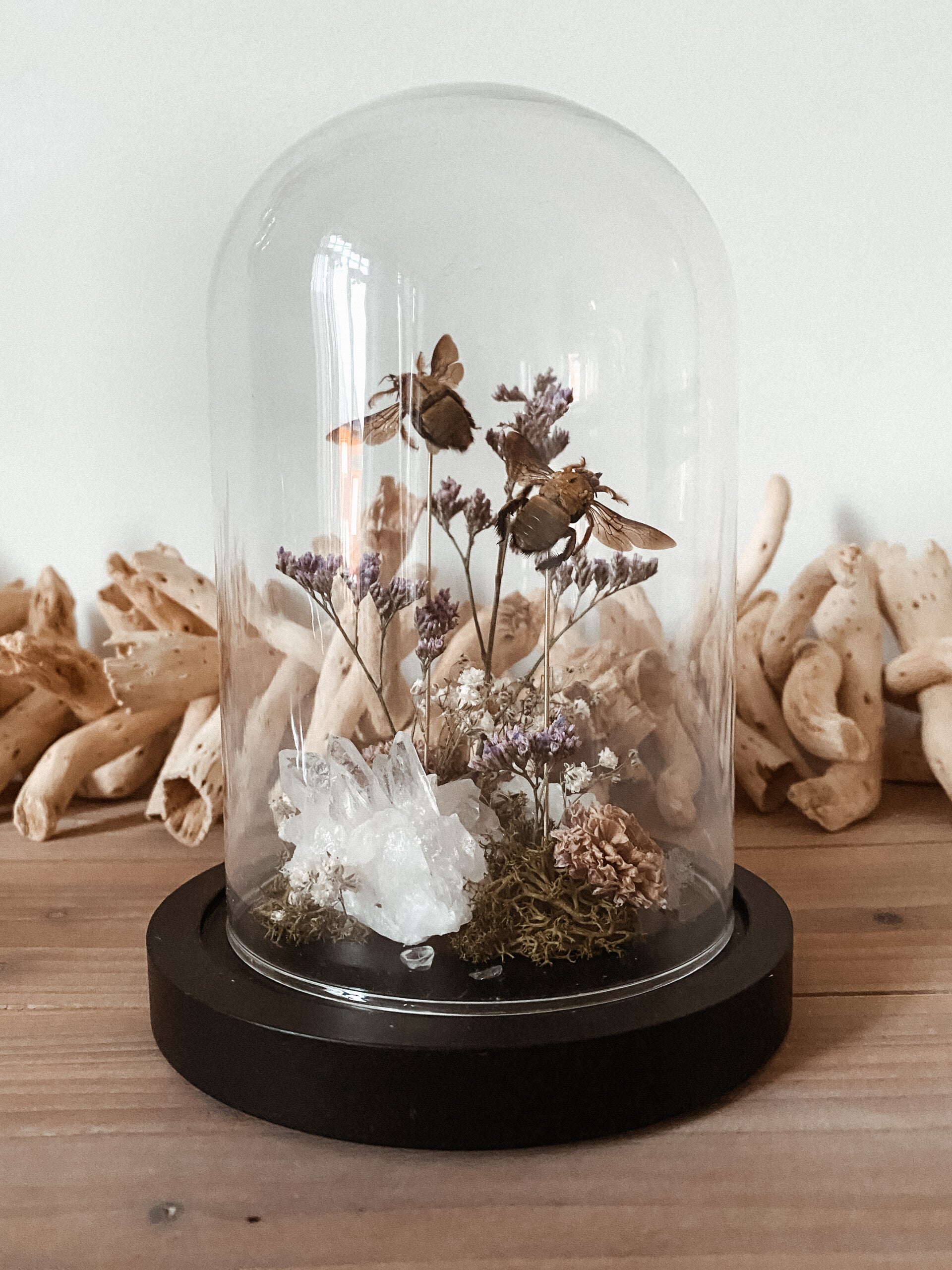 Pure Magic - Glass Dome