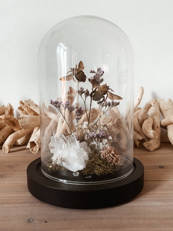 Pure Magic - Glass Dome