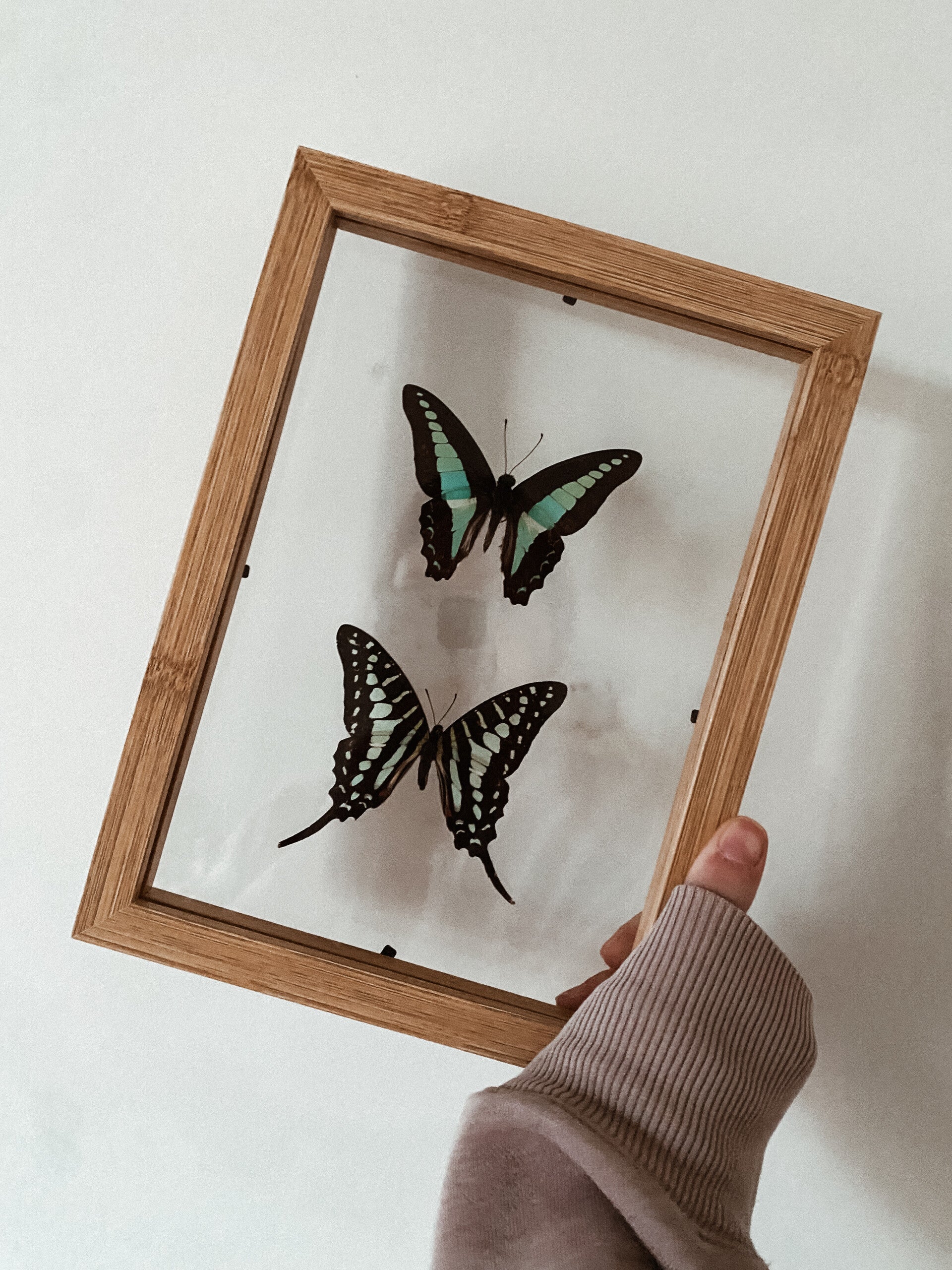 Mystic Dance - Frame