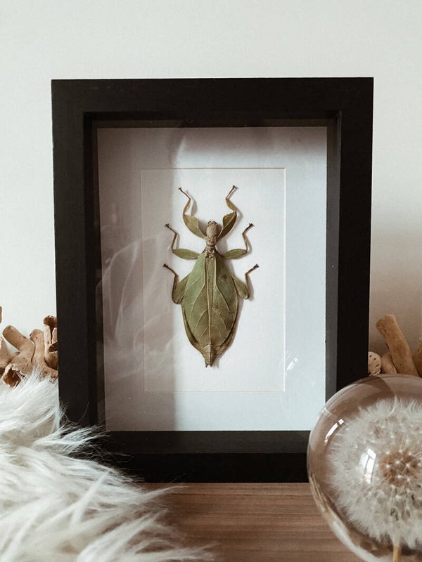 Mystical Wanderer - Frame