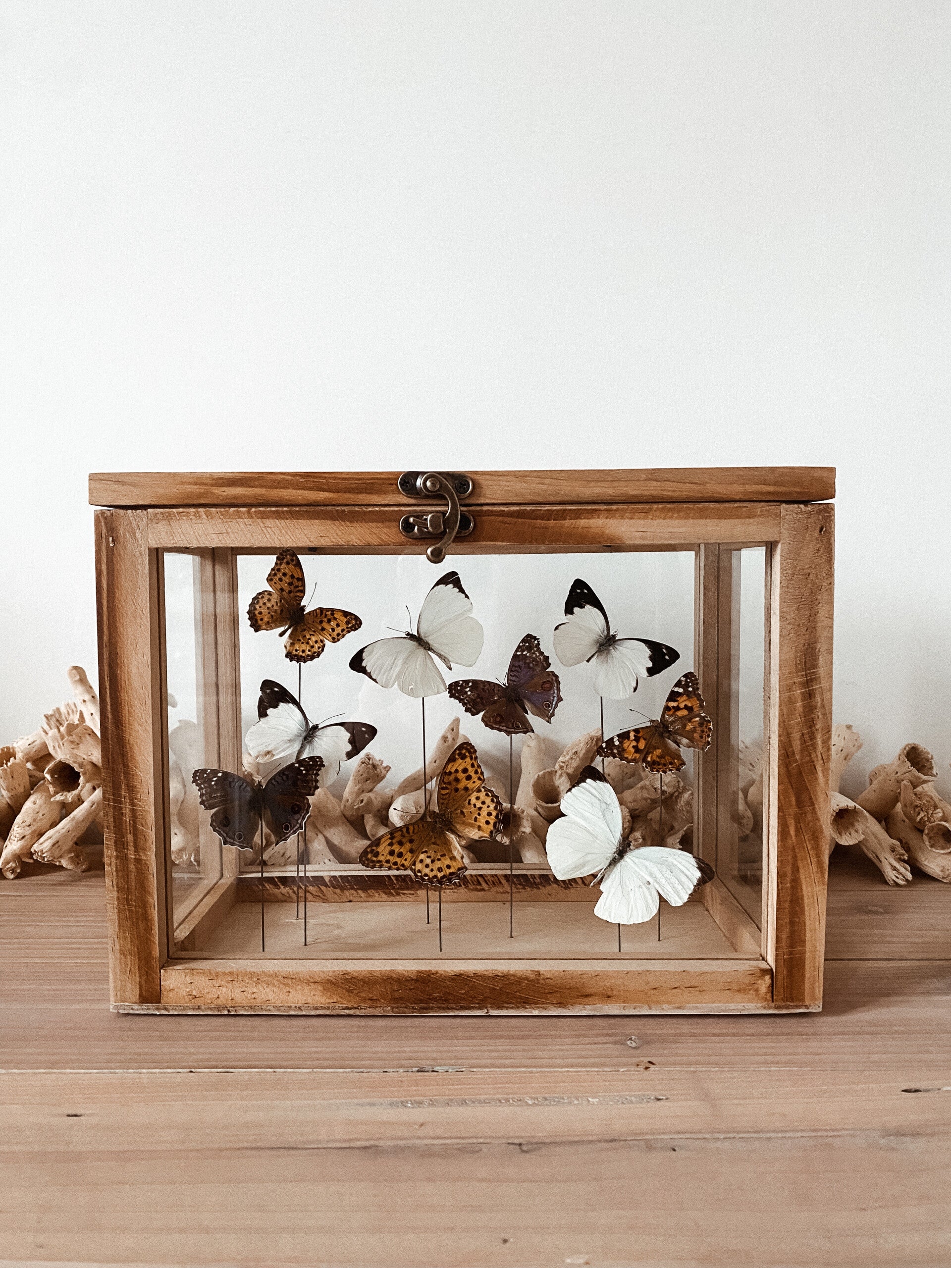 Field Study - Glass Box