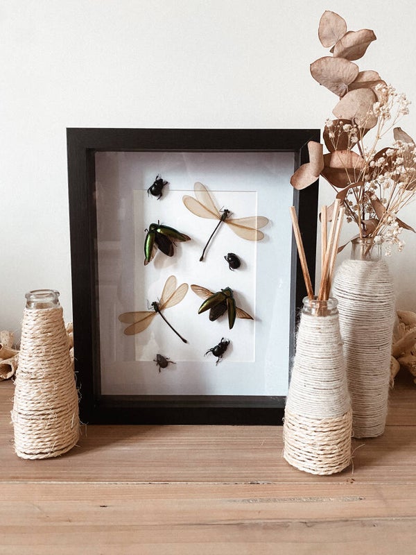 Enchanted Forest - Frame