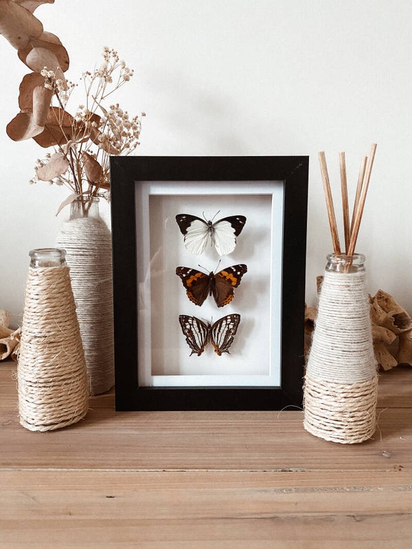 Natural Chronicle - Frame