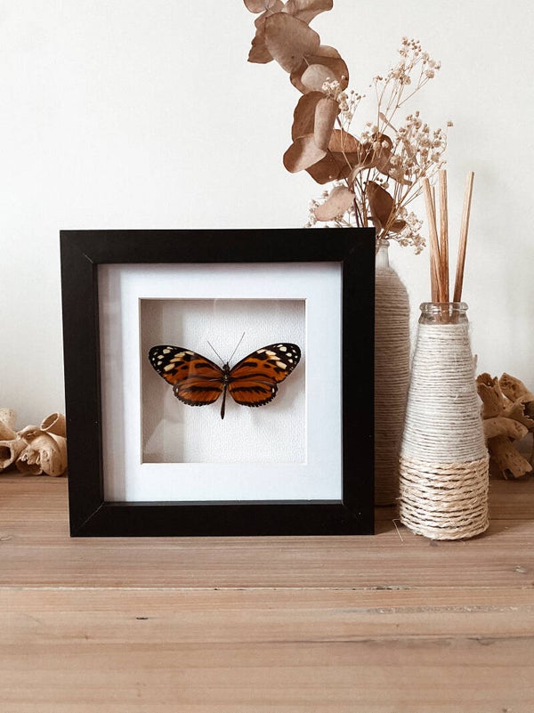 Powerful Harmony - Frame