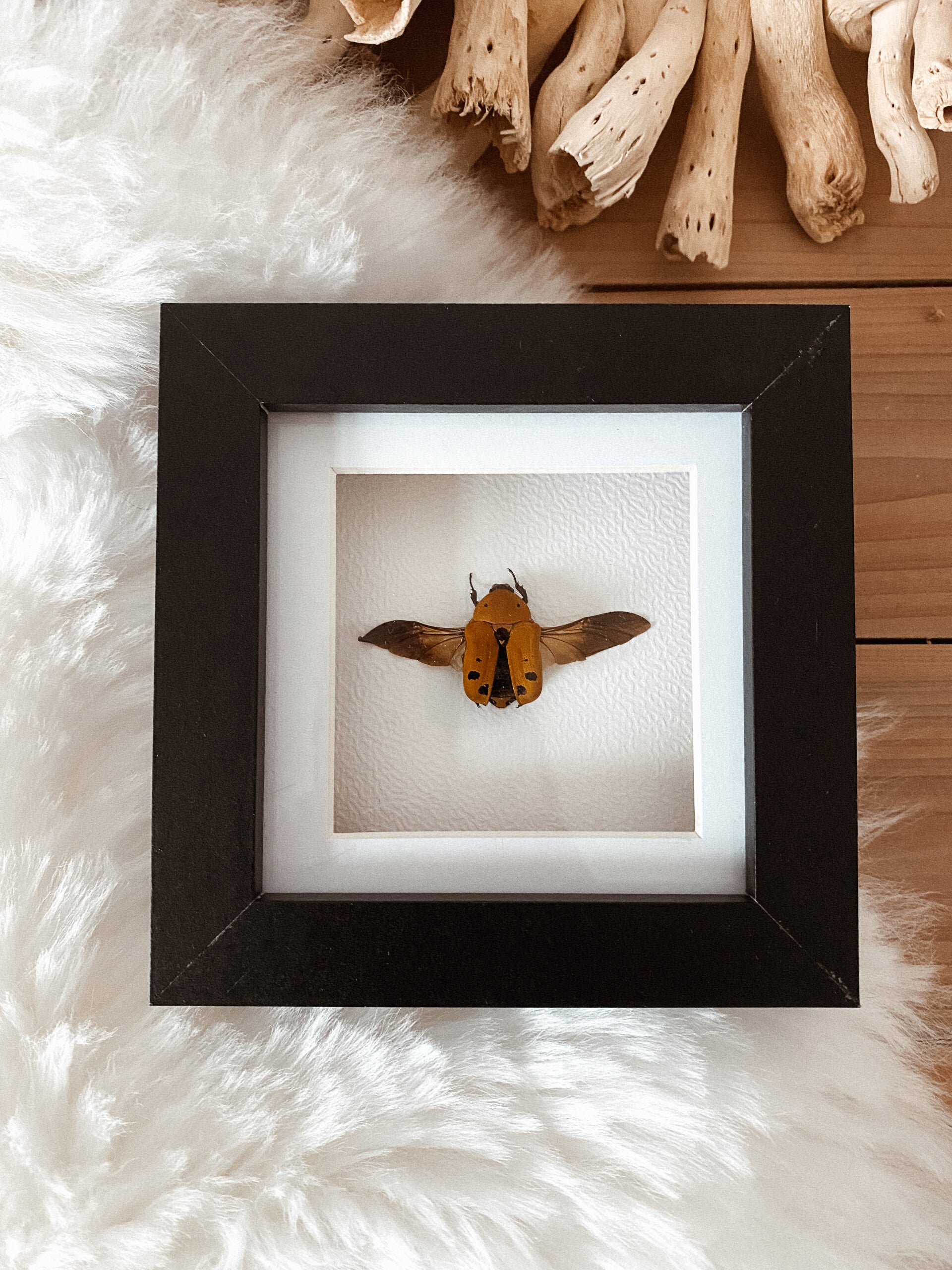 Sunshine Power - Mini Frame