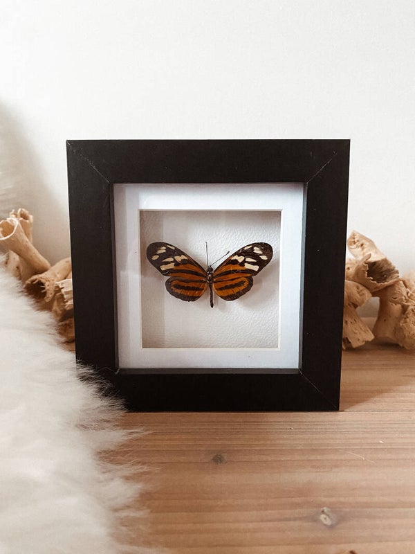 Powerful Harmony - Mini Frame