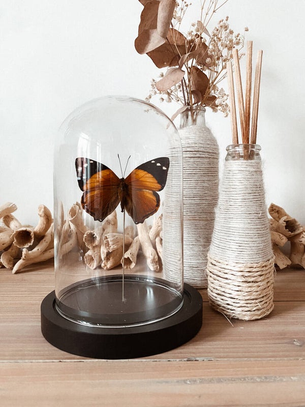 Autumn Days - Glass Dome