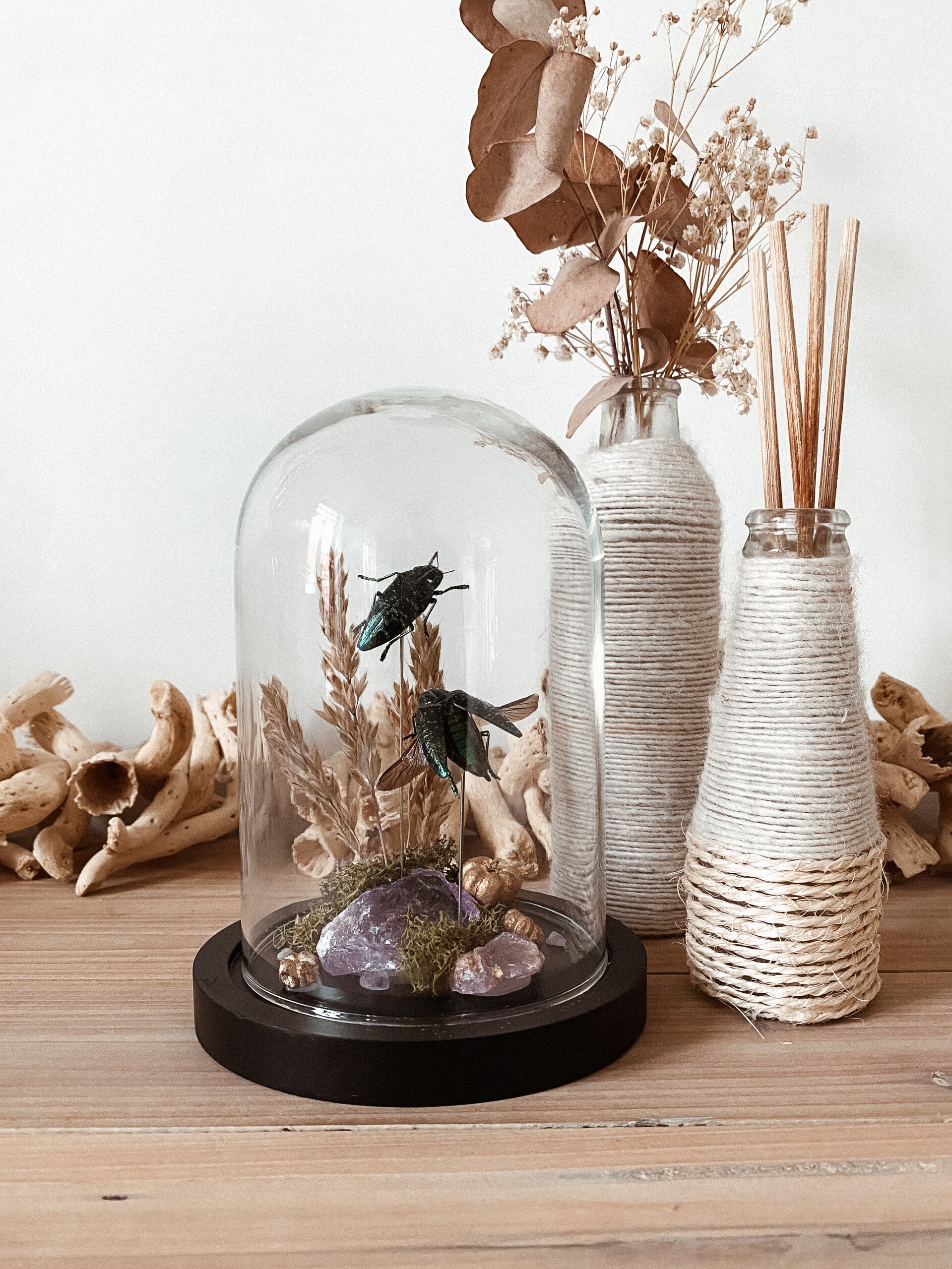 Emerald Whispers - Glass Dome