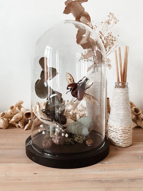 Forest Guardians - Glass Dome