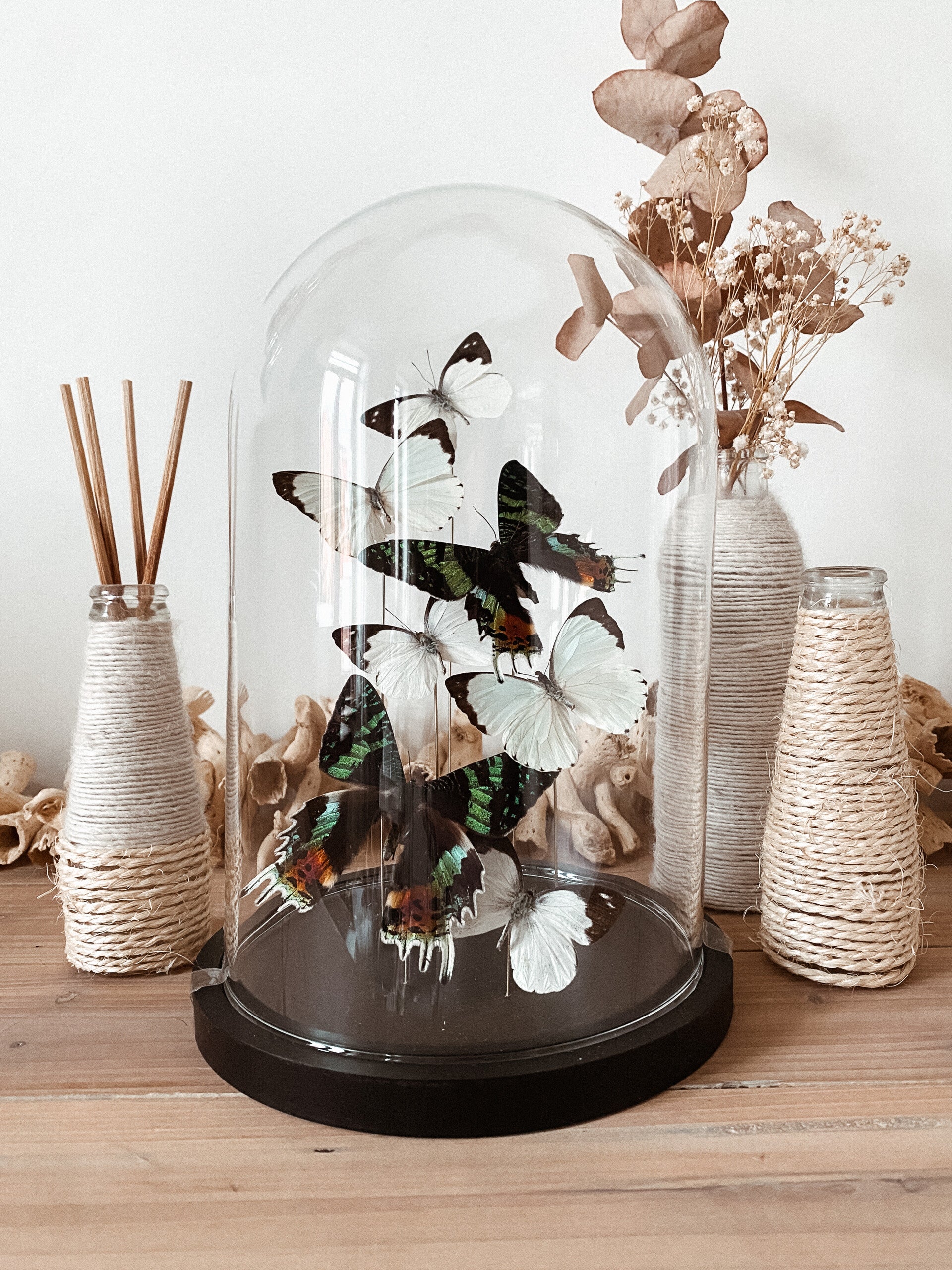 White & Wonder - Glass Dome