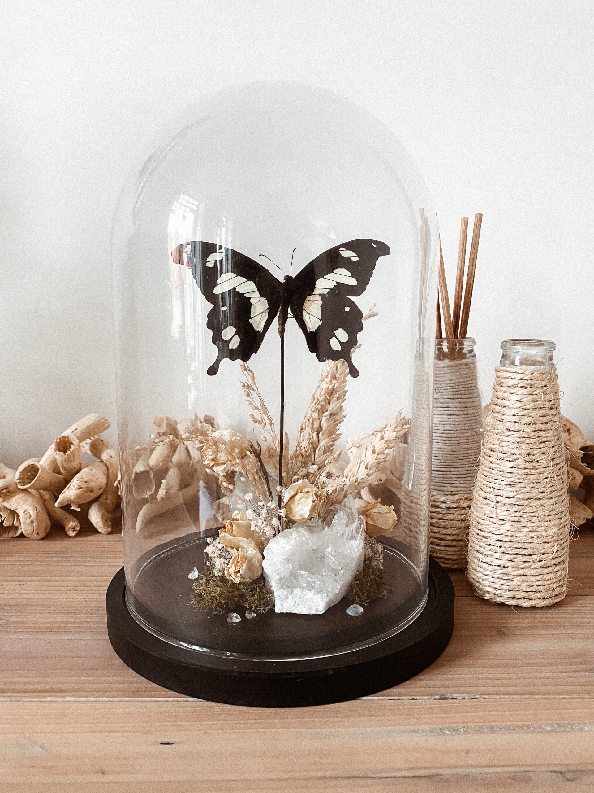 Ivory Silence - Glass Dome