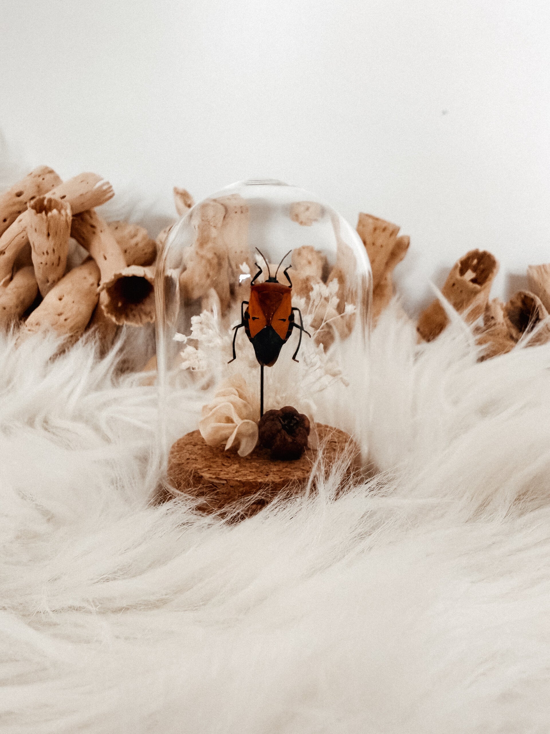 Autumn Glow - Mini Glass Dome