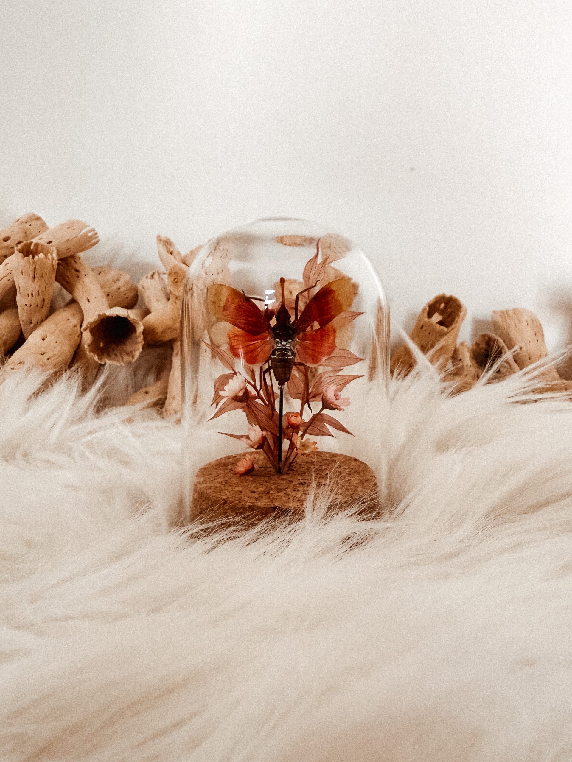 Sunrise magic - Mini Glass Dome