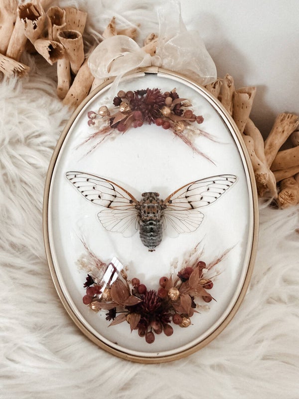 Whispering Ghost - Vintage Frame