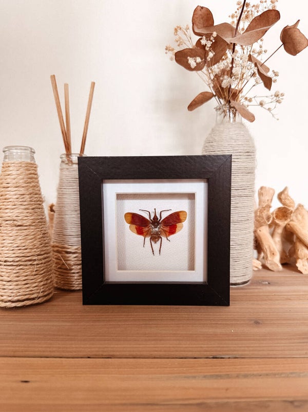 Sunrise Magic - Mini Frame