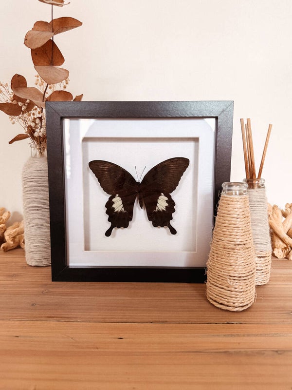 Dark Elegance - Frame