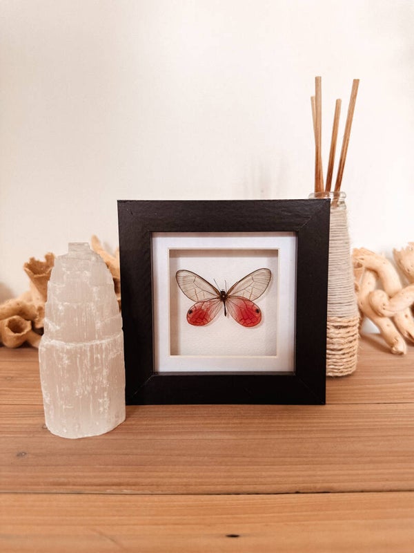 Pink Whisper - Mini Frame