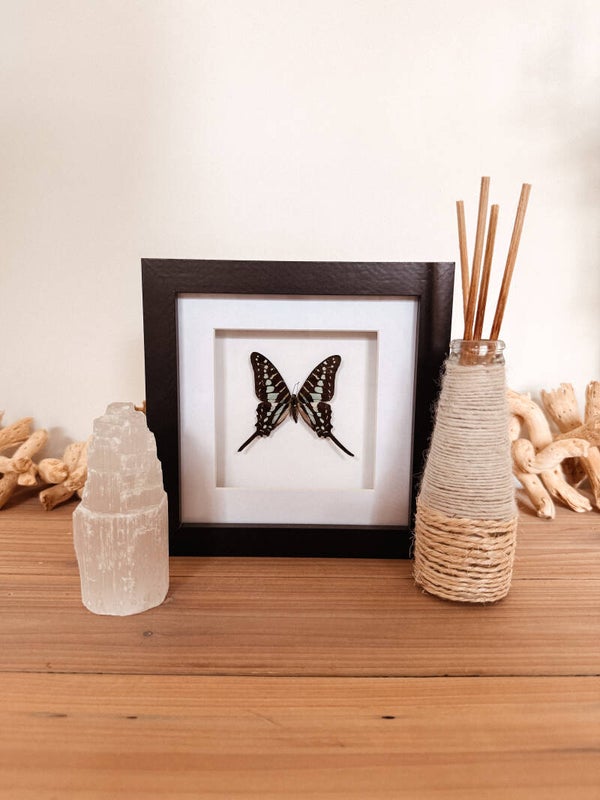 Tail of Light - Frame