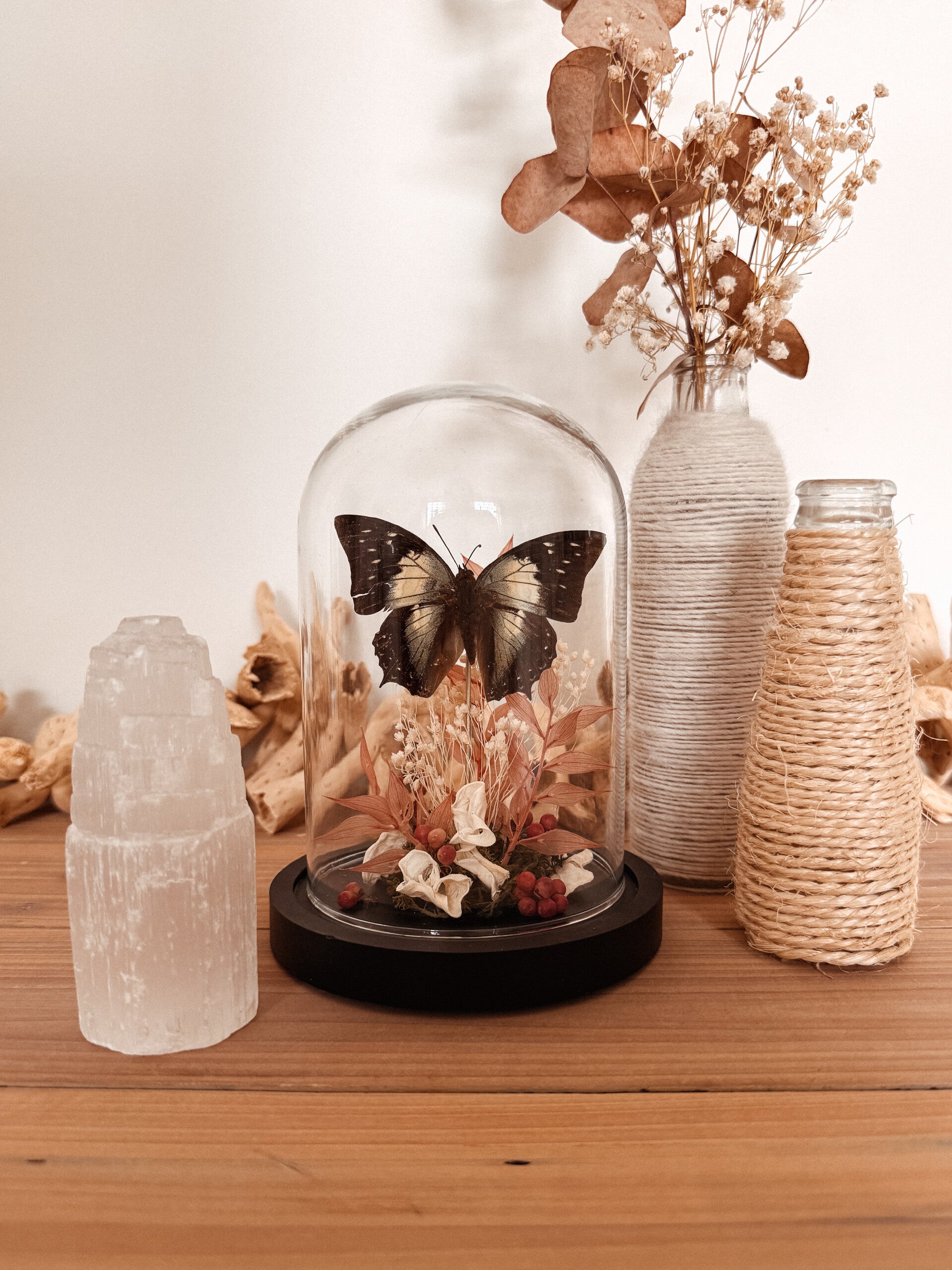 Verdant Whisper - Glass Dome