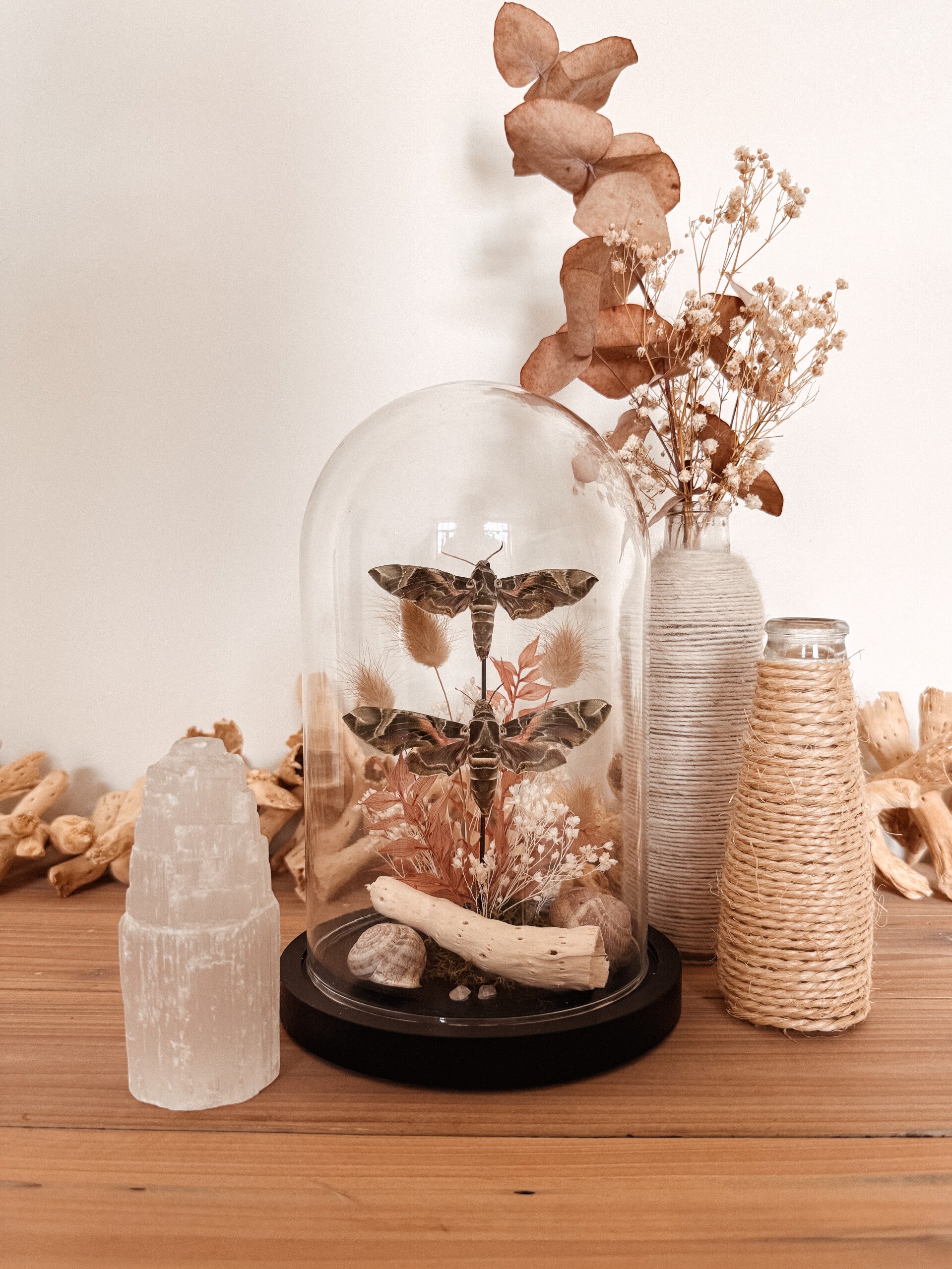 Soft Garden - Glass Dome