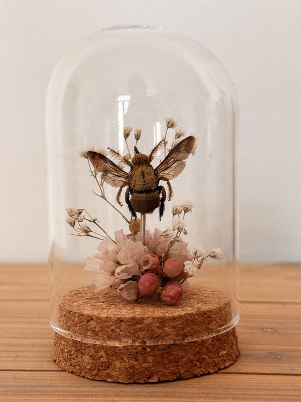 Golden Bloom - Mini Glass Dome