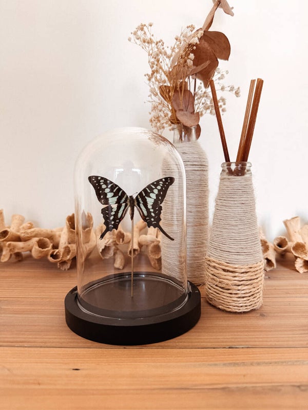 Emerald Breeze - Glass Dome