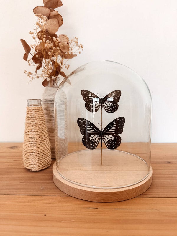 Quiet Meadow - Glass Dome