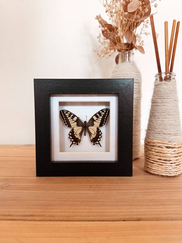 Golden Flight - Mini Frame