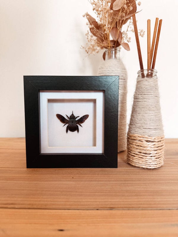 Sapphire Bloom - Mini Frame