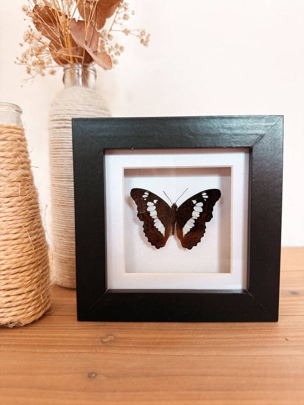 Woodland Whisper - Mini Frame