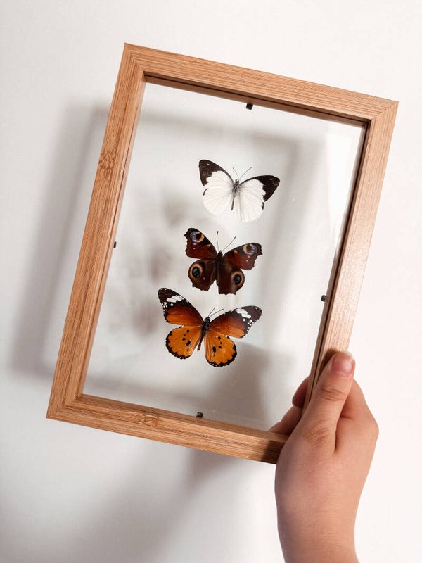 Nature's Palette - Double Glass Frame