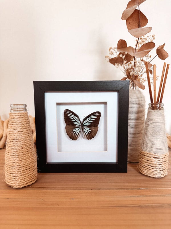 Blue Serenity - Frame