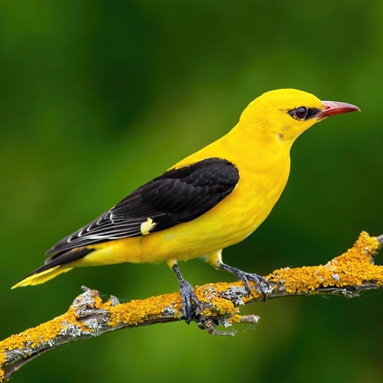 We always planned ahead for projects and advised on any change of circumstances