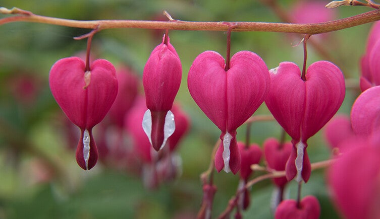 General refurbishments welcome