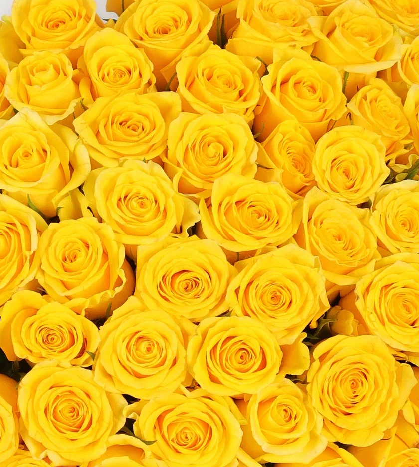 EL-Divine only offer good services, get paid if full as we looded after you all.