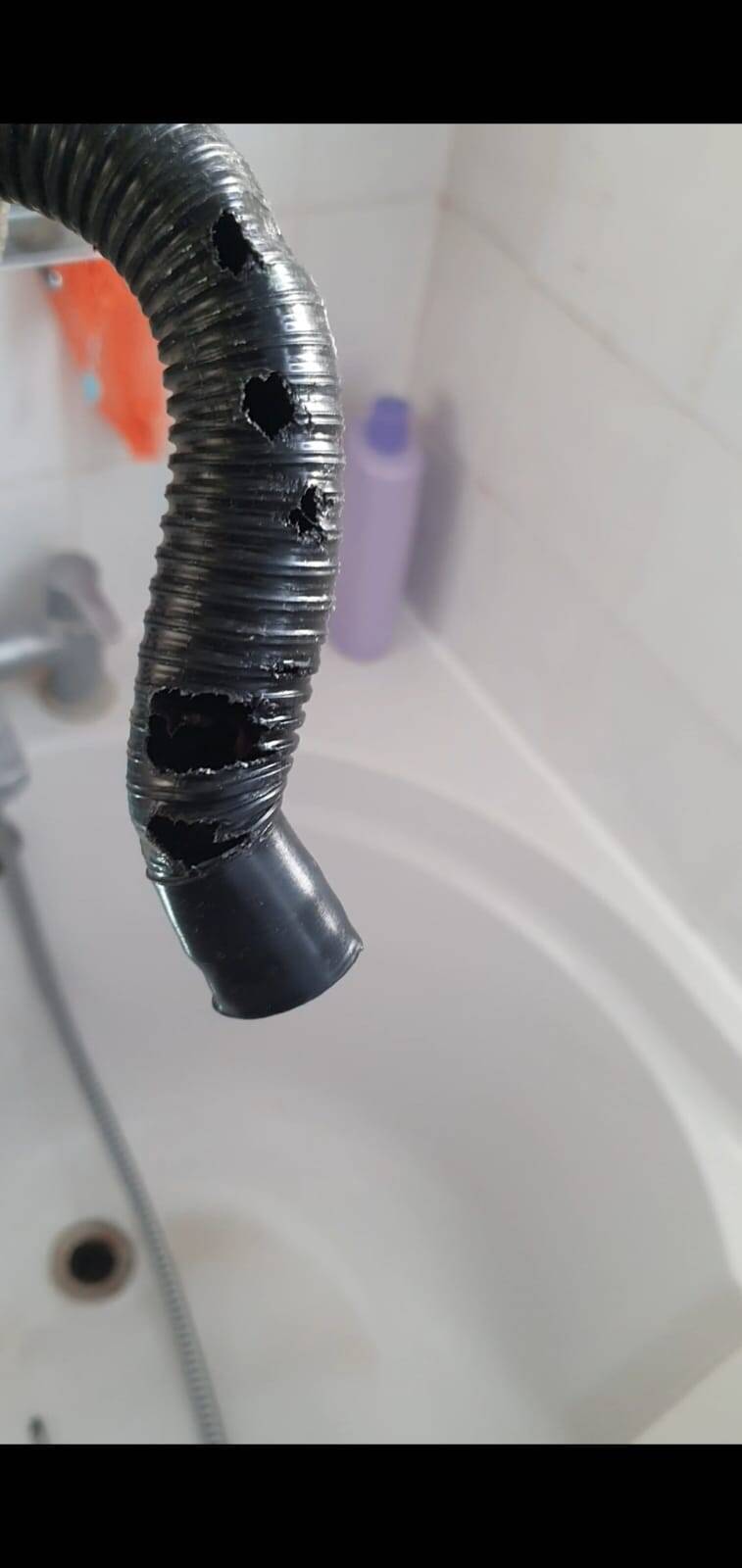 RATS &amp; MICE DAMAGED TO BATH OVERFLOW Contact us today from England +44 800 470 1819