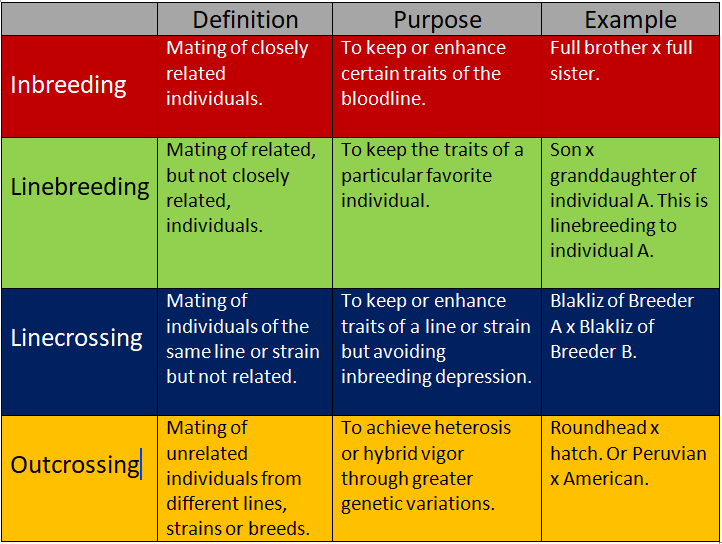 Inbreeding emeraldkingaquatics