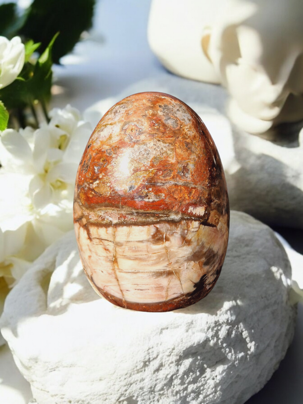 Bois fossile AA forme libre N°3