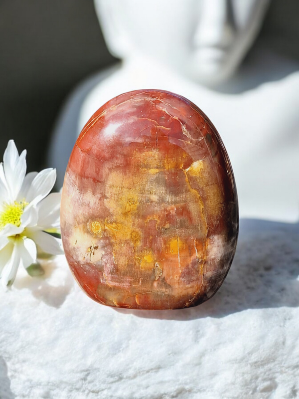 Bois fossile AA forme libre N°3