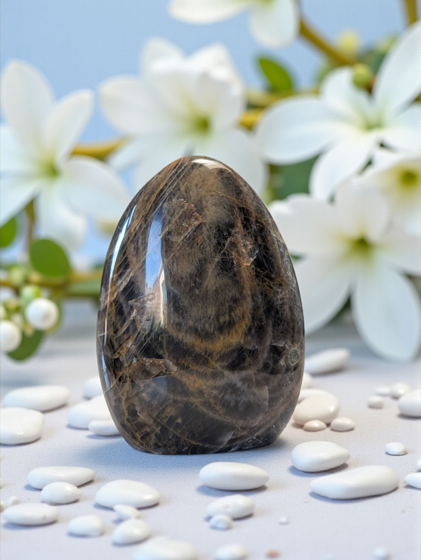 Pierre de lune noire A forme libre N°3