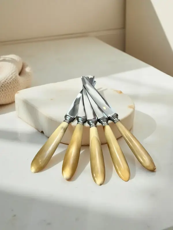 Set - 5 messen beige handvat