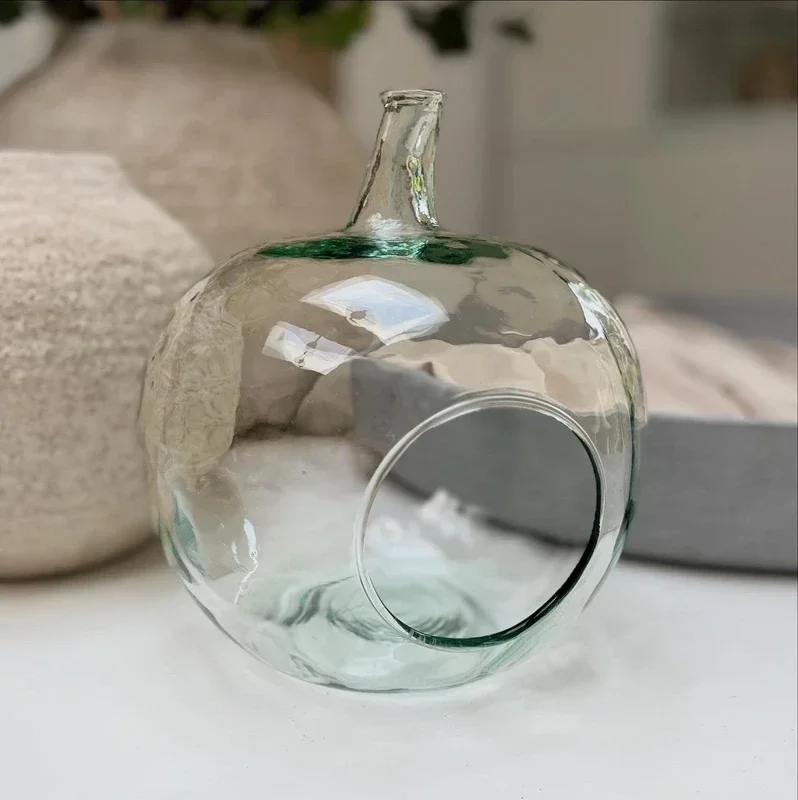 Mondgeblazen terrarium appel