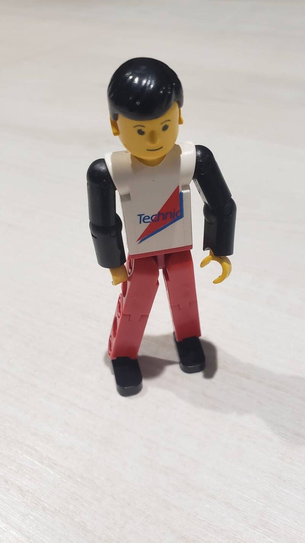 Figurine LEGO TECHNIC® tech004
