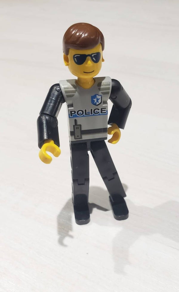 Figurine LEGO TECHNIC® tech029